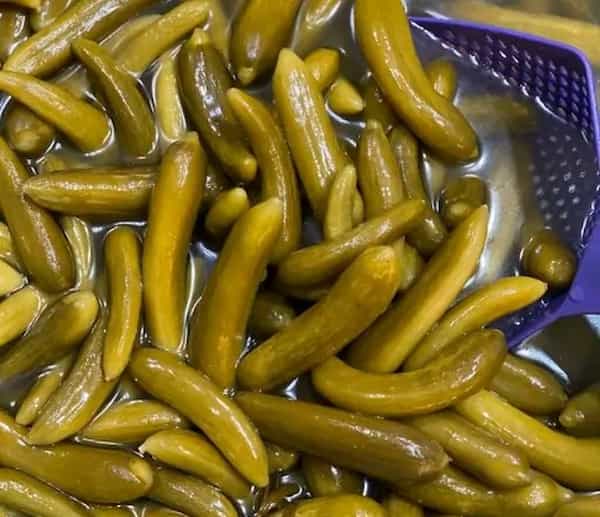 تصویر 2 از فروش خیارشور ویژه شیروان + ارزان و مقرون به صرفه